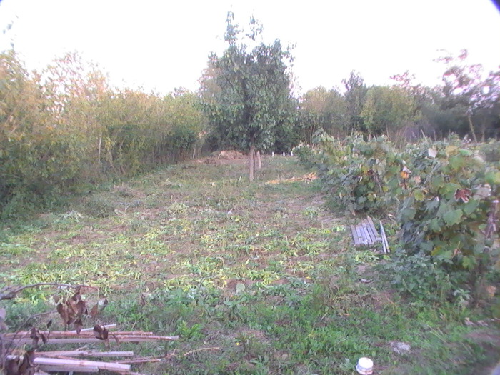 15-Sept.