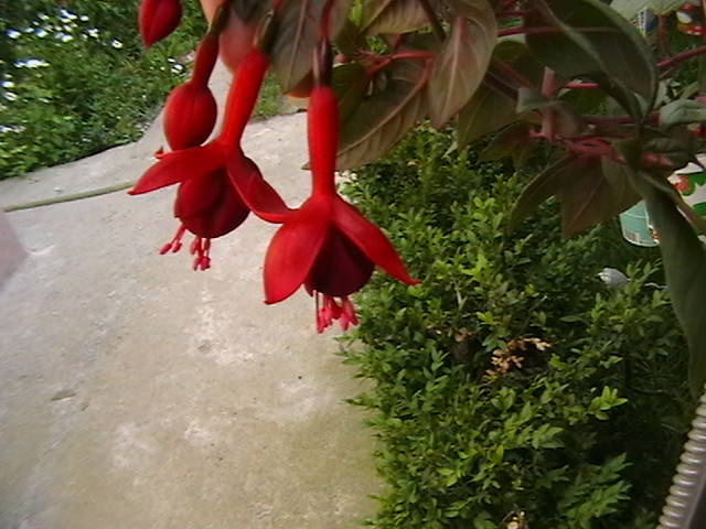 Picture 024