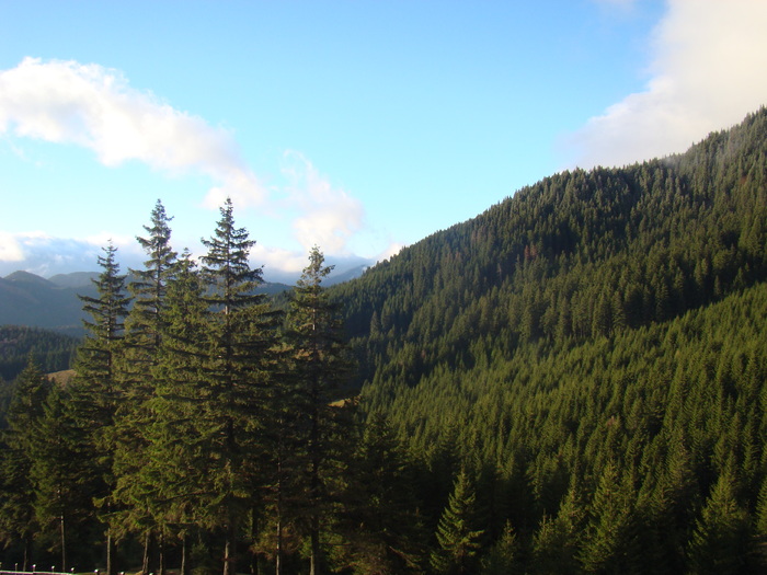 DSC04590