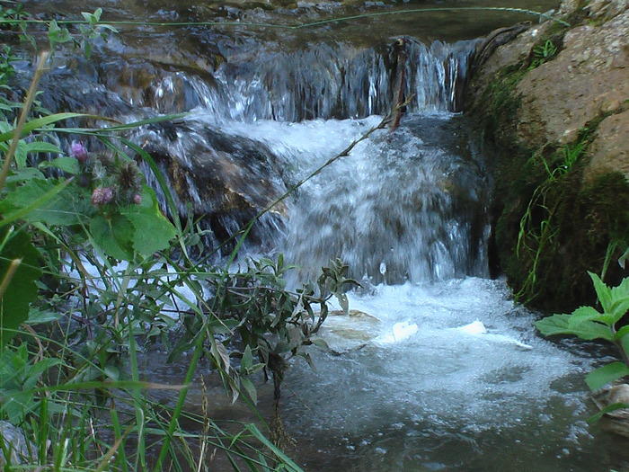 Cheile Gradistei - FOTOGRAFII - PEISAJE