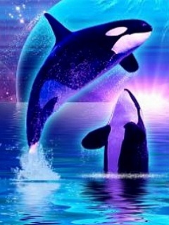 849413 - Mobile Wallpapers