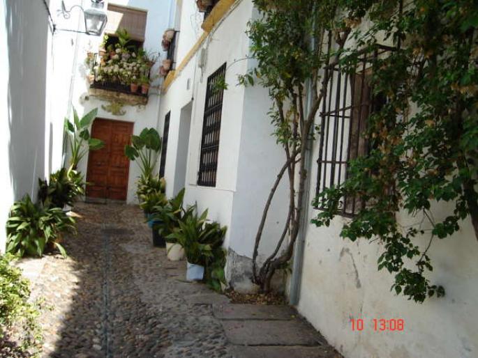 141 Cordoba - Cordoba