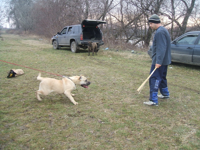 DSCF1406 - snoopyfightdogo  canario