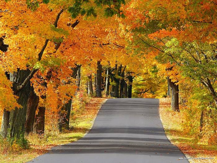 The Road Less Traveled, Door County, Wisconsin - Very Beautiful Nature Scenes