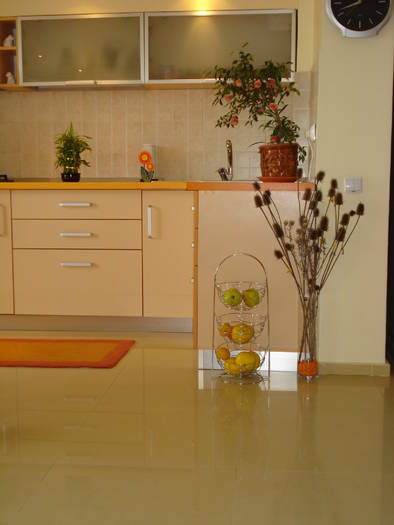 MARACINI