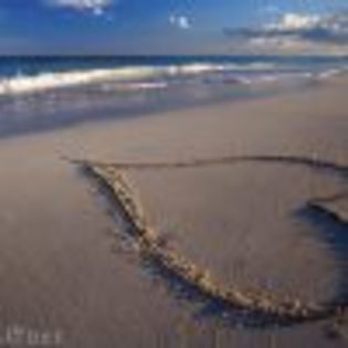 avatar-3-18-2462 - HEARTS