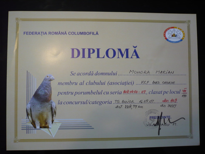 P1050609 - 4-DIPLOME loc 1