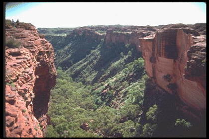 IMG0024 - Din Natura