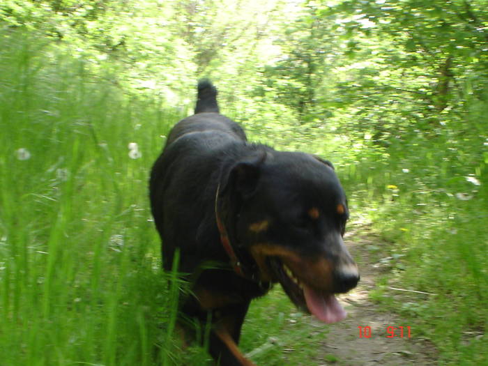 DSC04850 - BELLA poze noi