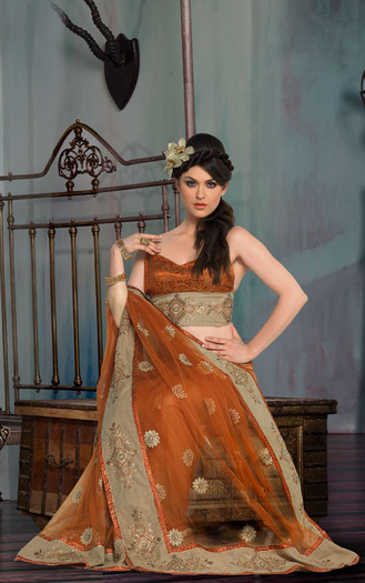 sarees24a101
