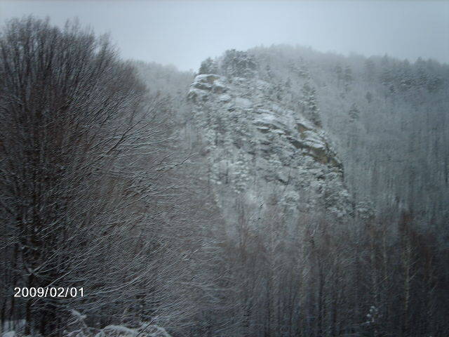 Stanisoara  01.02.2009 080 - STANISOARA- COZIA- -IARNA