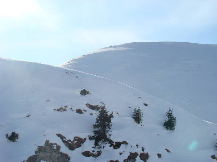 DSC01158 - Bucegi - Valea Izvorul Dorului-Padina