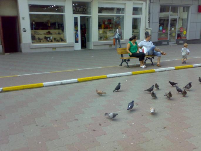 23072008666 - 18a Constanta 1