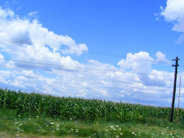 DSCF3981 - Tasnad iulie 2009