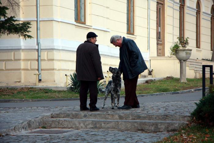 Prieteni - Slatina