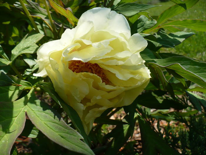 P1110861