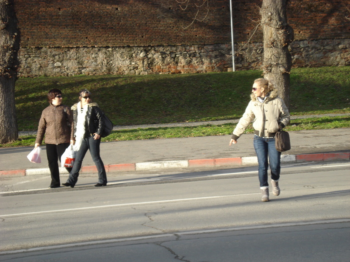 DSC06128 - 2010 REVELION SIBIU