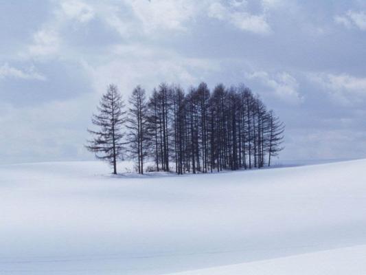 nature30_1024