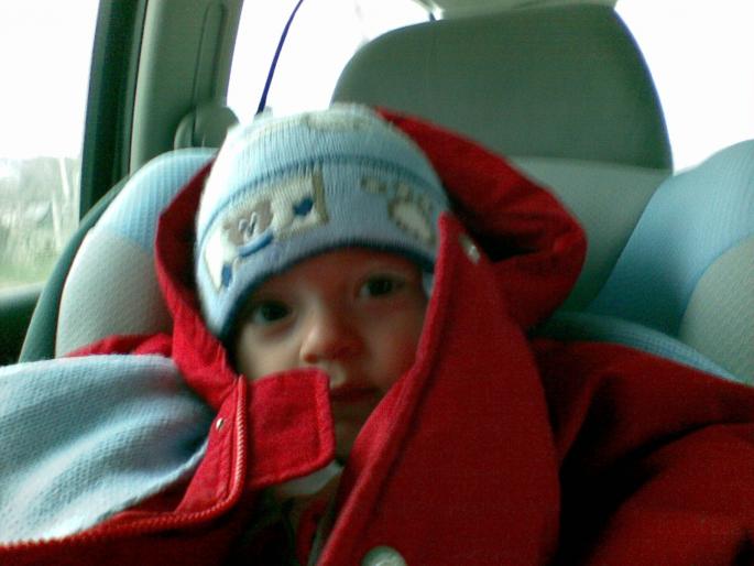 29032008(008) - mihai