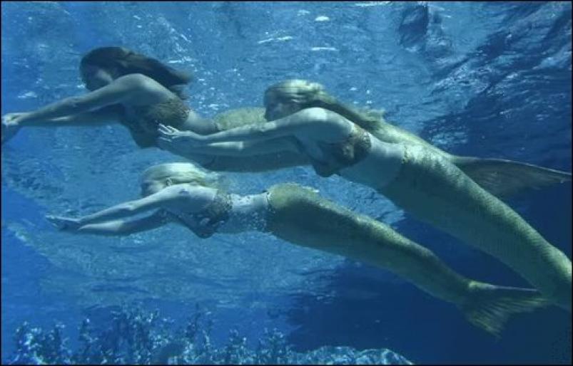 1,2,3 sirene - H2O