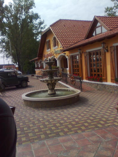 Imagine1538 - ApiMondia