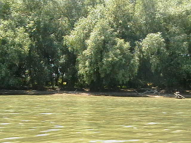 IMGA0787