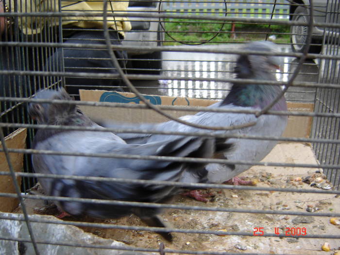 DSC03659