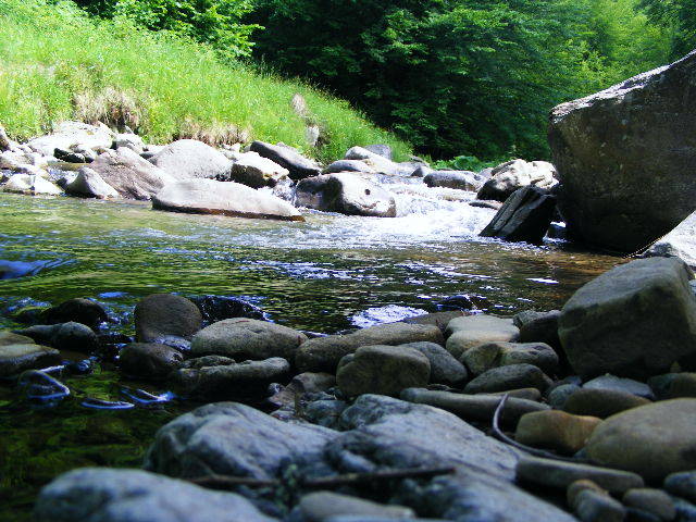 DSCF2102 - hai hui prin Maramures