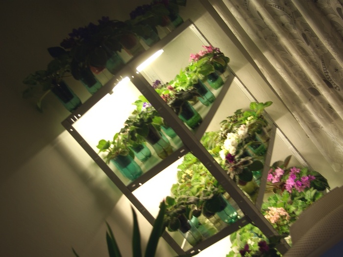 SG105562 - 2013 - Rafturi-Grup