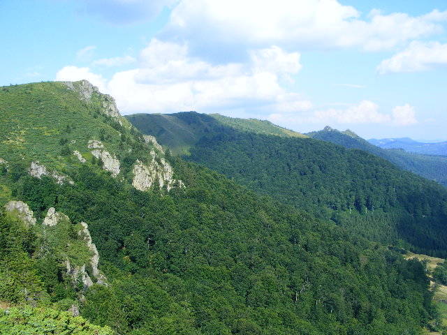 DSCF4487