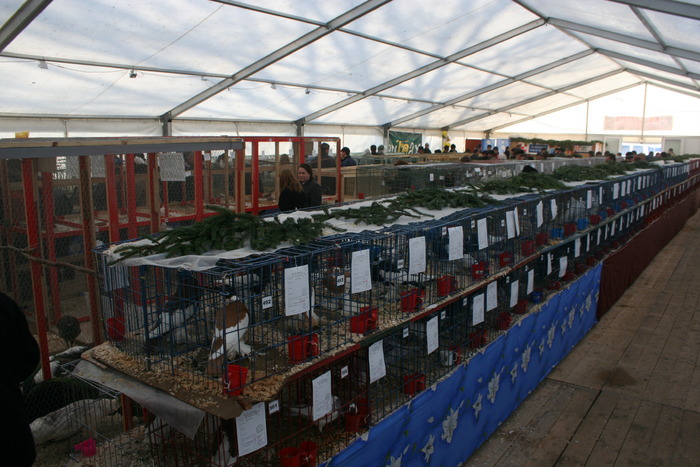 EXPO-PAS Suceava 2009