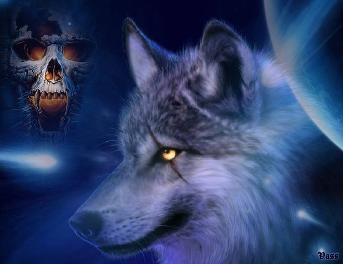 wolf_9 - Wolf
