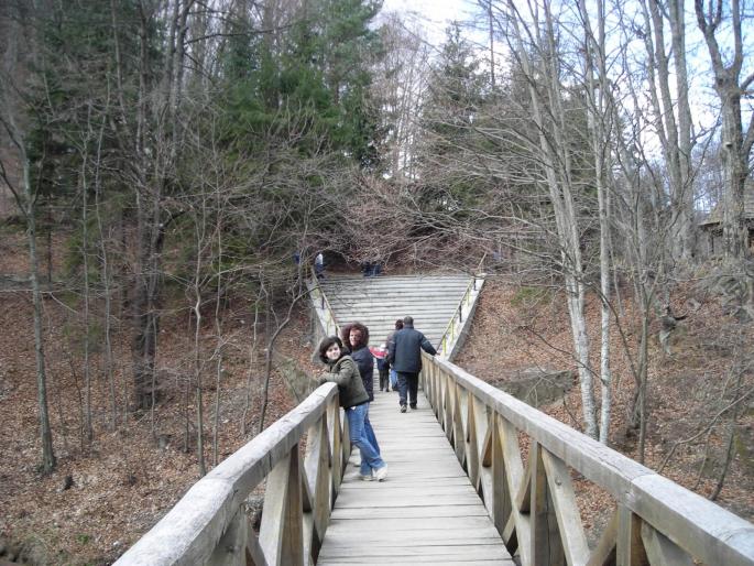 DSCN3049 - 2008 OLANESTI MARTIE