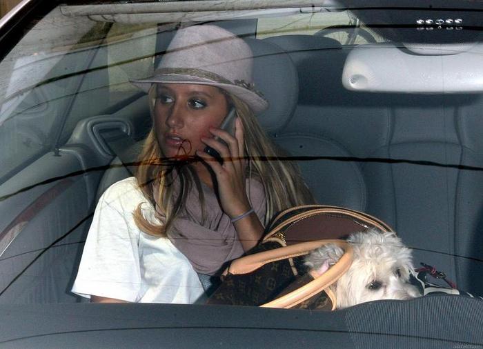 qp40snljfjimage0003hp2