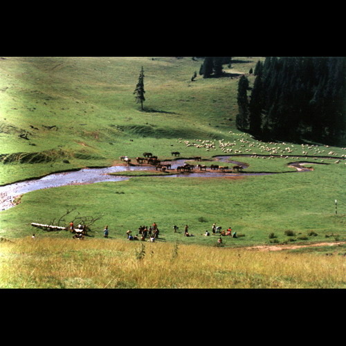 010 - Imagini Romania