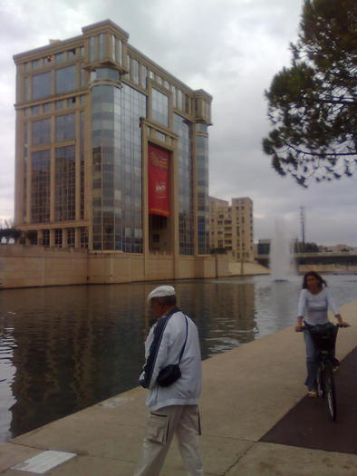 Imagine1342 - ApiMondia