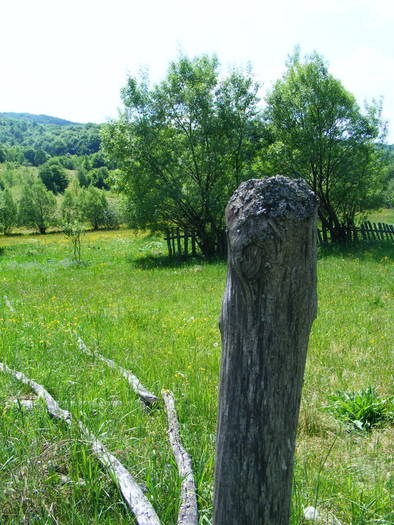 DSCF0998