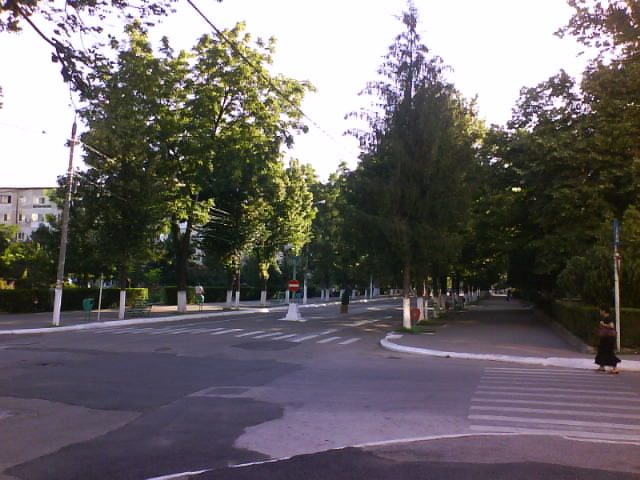 DSC05427