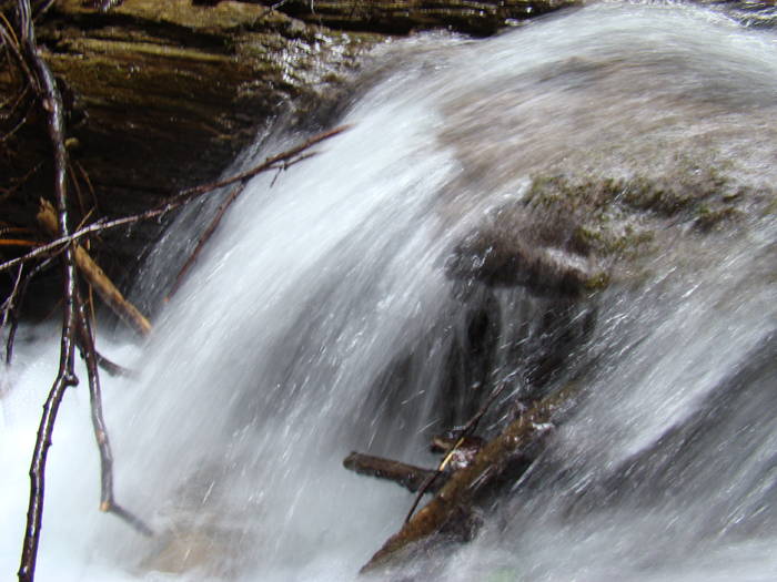 DSC03677 - Iunie 2009