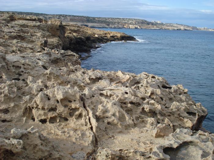 Picture 545; Cape Greco
