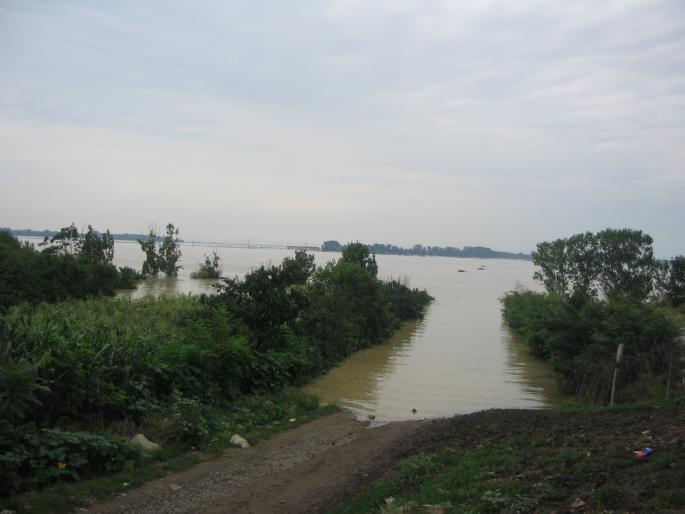 inundatii (31) - inundatii 2005 Galati