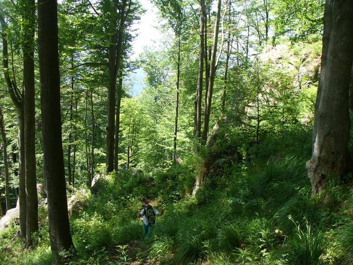 P1000428 - varful Ignis Maramures