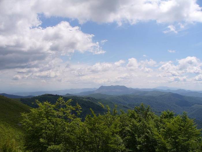 P1000454 - varful Ignis Maramures