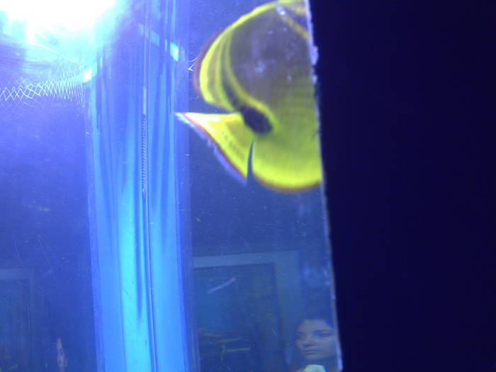 PICT0120 - EXCURSIE  in DELTA