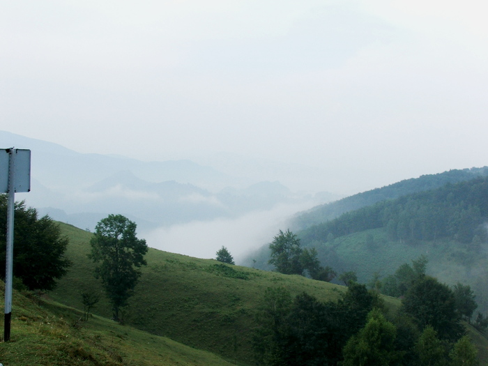 DSCF4869 - Valea Cernei