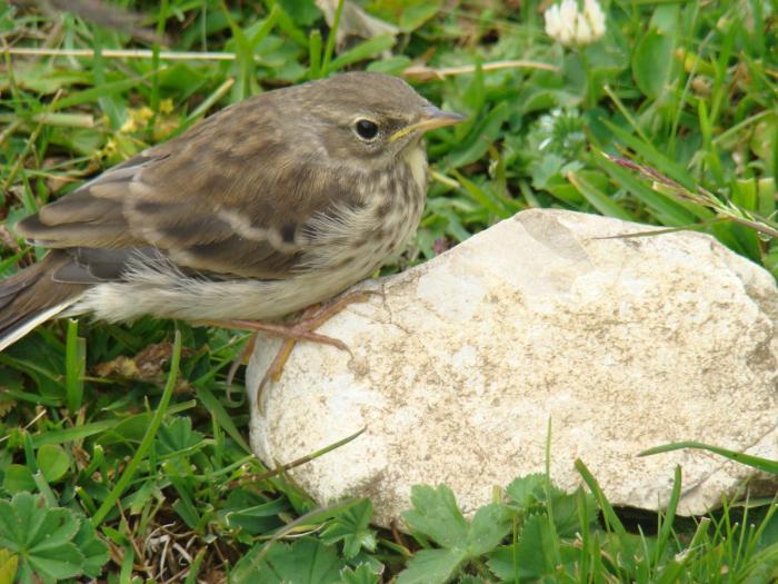 DSC01946 - Concediu 2008