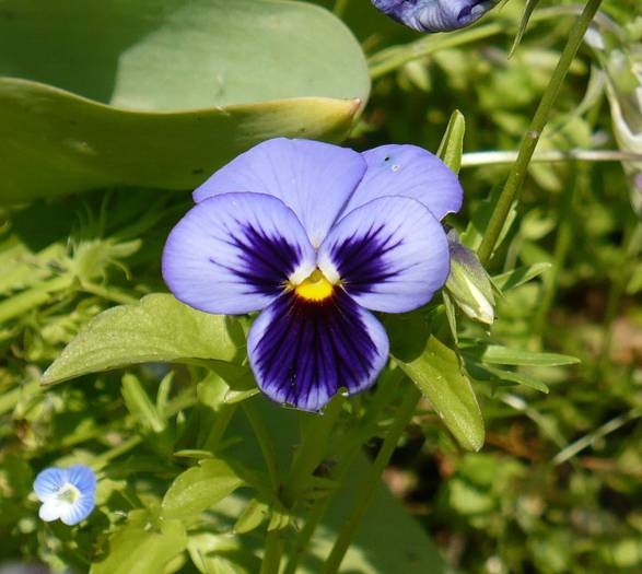 P1110982