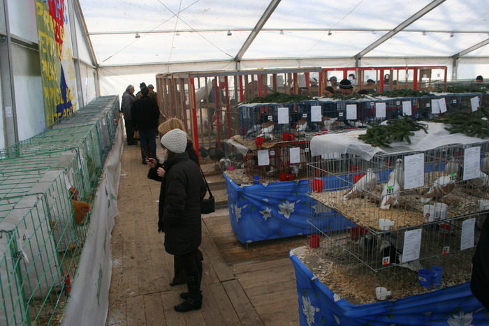 EXPO-PAS Suceava 2009