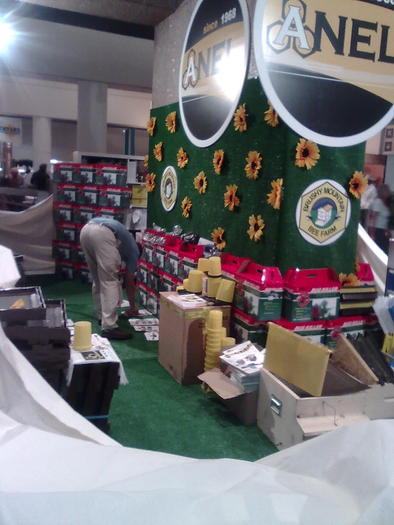 Imagine1074 - ApiMondia