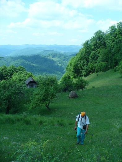 P1200006